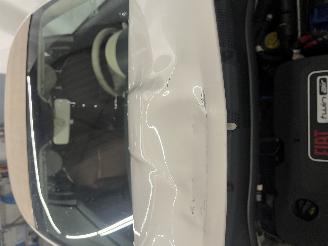 Fiat 500 500C (312) Cabrio 0.9 TwinAir 85 (312.A.2000) [63kW]  (09-2009/...) picture 16