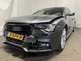 Auto incidentate Audi A5 A5 Sportback (8TA) Liftback 2.0 TDI 16V (CGLC) [130kW]  (10-2011/01-20=
17) 2013/4