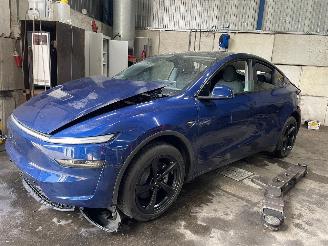 Purkuautot passenger cars Tesla  Model Y SUV RWD 58 kWh, Long Range RWD 75 kWh (4D3) [220kW]  (01-2025/=
=2E..) 2025/6