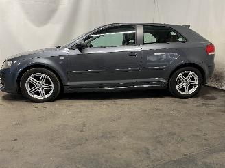 Audi A3 A3 (8P1) Hatchback 3-drs 1.9 TDI (BLS) [77kW]  (05-2003/05-2010) picture 3