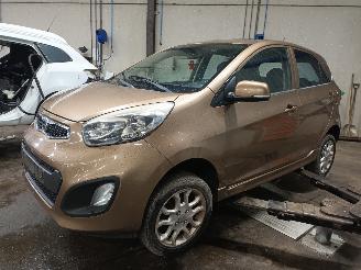 Auto da rottamare Kia Picanto Picanto (TA) Hatchback 1.0 12V (G3LA) [51kW]  (05-2011/06-2017) 2011/12