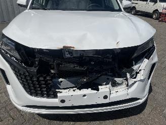 DFSK Navor E5 1.5 PHEV picture 21