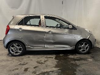 Kia Picanto Picanto (TA) Hatchback 1.0 12V (G3LA) [51kW]  (05-2011/06-2017) picture 7