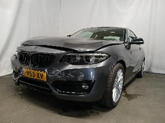 Schadeauto BMW 2-serie 2 serie (F22) Coupé 218i 1.5 TwinPower Turbo 12V (B38-B15A) [100kW] =
 (03-2015/06-2021) 2018/5