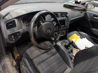 Volkswagen Golf Golf VII (AUA) Hatchback 1.4 TSI 16V (CHPA) [103kW]  (08-2012/08-2020)= picture 5