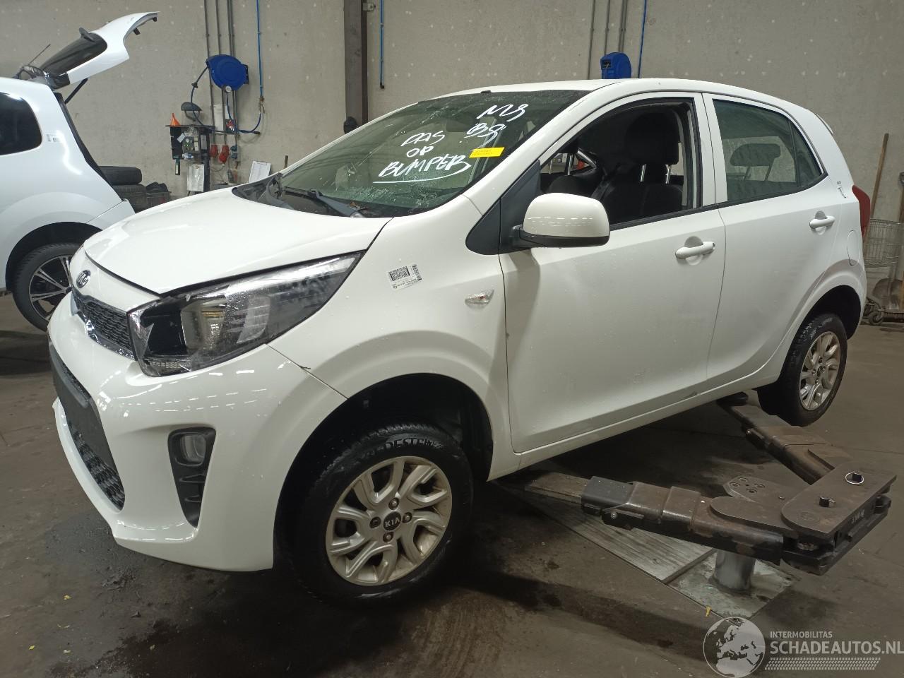 Kia Picanto Picanto (JA) Hatchback 1.0 12V (G3LA) [49kW]  (03-2017/...)