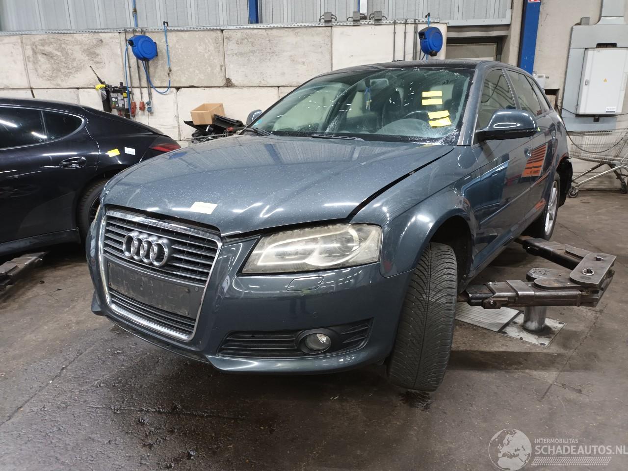 Audi A3 A3 Sportback (8PA) Hatchback 5-drs 1.6 (BSE) [75kW]  (09-2004/03-2013)=