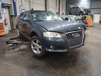 Audi A3 A3 Sportback (8PA) Hatchback 5-drs 1.6 (BSE) [75kW]  (09-2004/03-2013)= picture 2
