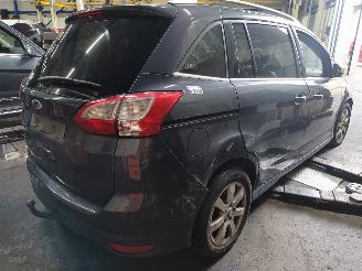 Ford Grand C-Max Grand C-Max (DXA) MPV 2.0 TDCi 16V (TXDB(Euro 5)) [120kW]  (12-2010/06=
-2019) picture 3