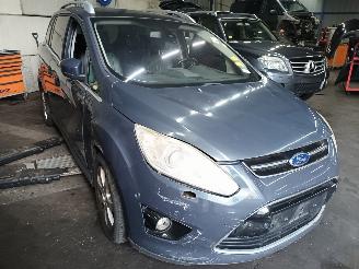 Ford Grand C-Max Grand C-Max (DXA) MPV 2.0 TDCi 16V (TXDB(Euro 5)) [120kW]  (12-2010/06=
-2019) picture 2