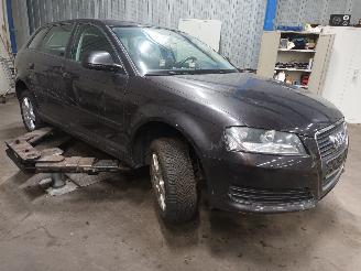 Audi A3 A3 Sportback (8PA) Hatchback 5-drs 1.4 TFSI 16V (CAXC) [92kW]  (09-200=
7/03-2013) picture 2