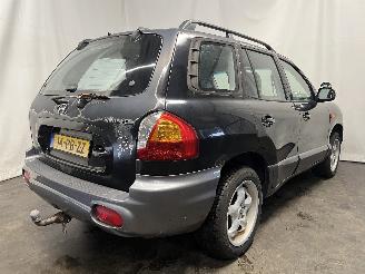 Hyundai Santa Fe Santa Fe I SUV 2.0 16V 4x2 (G4JP) [99kW]  (08-2001/02-2006) picture 6
