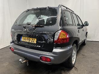 Hyundai Santa Fe Santa Fe I SUV 2.0 16V 4x2 (G4JP) [99kW]  (08-2001/02-2006) picture 5