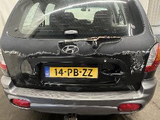 Hyundai Santa Fe Santa Fe I SUV 2.0 16V 4x2 (G4JP) [99kW]  (08-2001/02-2006) picture 13