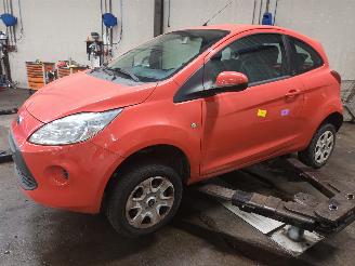 Sloopauto Ford Ka Ka II Hatchback 1.2 (169.A.4000) [51kW]  (10-2008/...) 2010