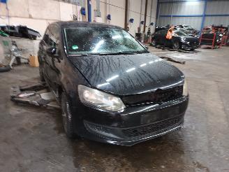 Volkswagen Polo Polo V (6R) Hatchback 1.2 12V (CGPB(Euro 5)) [44kW]  (06-2009/05-2014)= picture 2
