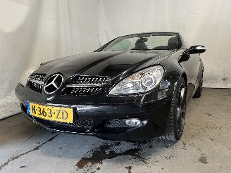 škoda osobní automobily Mercedes SLK SLK (R171) Cabrio 3.5 350 V6 24V (M272.963) [200kW]  (06-2004/02-2011)= 2005/8