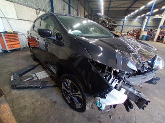 Nissan Leaf Leaf (ZE1) Hatchback 39/40kWh (EM57) [110kW]  (05-2021/...) picture 2