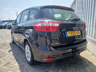 Ford C-Max C-Max (DXA) MPV 1.0 Ti-VCT EcoBoost 12V 125 (M1DA(Euro 5)) [92kW]  (10=
-2012/06-2019) picture 5
