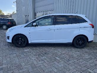 Ford Grand C-Max Grand C-Max (DXA) MPV 2.0 TDCi 16V (TXDB(Euro 5)) [120kW]  (12-2010/06=
-2019) picture 4