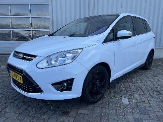 Ford Grand C-Max Grand C-Max (DXA) MPV 2.0 TDCi 16V (TXDB(Euro 5)) [120kW]  (12-2010/06=
-2019) picture 3