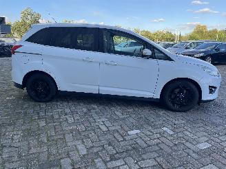 Ford Grand C-Max Grand C-Max (DXA) MPV 2.0 TDCi 16V (TXDB(Euro 5)) [120kW]  (12-2010/06=
-2019) picture 7