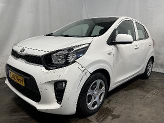 Kia Picanto Picanto (JA) Hatchback 1.0 12V (G3LA) [49kW]  (03-2017/...) picture 3