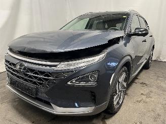 škoda osobní automobily Hyundai Nexo Nexo I Hatchback FCEV FWD (FM12) [120kW]  (03-2018/...) 2020/7