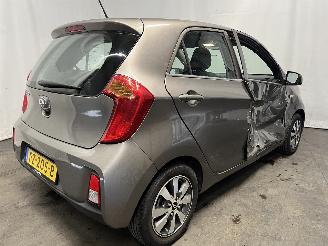 Kia Picanto Picanto (TA) Hatchback 1.0 12V (G3LA) [49kW]  (05-2011/06-2017) picture 5