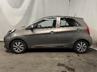 Kia Picanto Picanto (TA) Hatchback 1.0 12V (G3LA) [49kW]  (05-2011/06-2017) picture 3