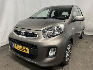 škoda osobní automobily Kia Picanto Picanto (TA) Hatchback 1.0 12V (G3LA) [49kW]  (05-2011/06-2017) 2017/3