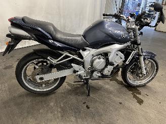 Yamaha FZ 6 Tour picture 4