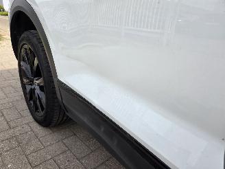 Volkswagen T-Roc 1.5 TSI DSG picture 12