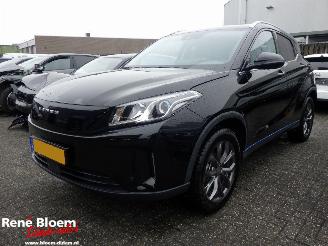 Voiture accidenté Seres 3 52 kWh Automaat 163pk 2025/5