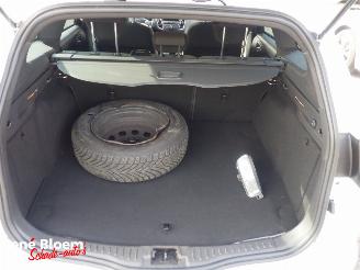 Ford Focus 1.0 ST-Line 5drs picture 11