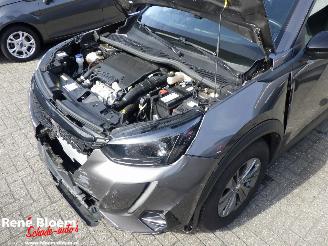 Peugeot 2008 1.2 PureTech Active Pack picture 8