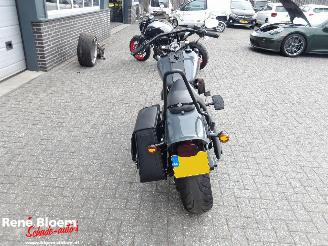 Harley-Davidson Night train 88 FXSTB picture 5