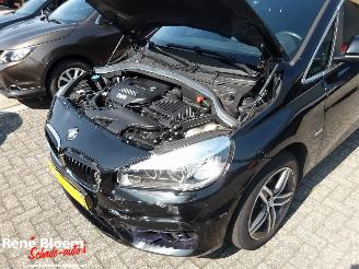 BMW 2-serie 218i Corporate Executive Automaat 136pk picture 8