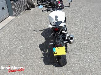 Honda CB 1000 Hornet picture 5