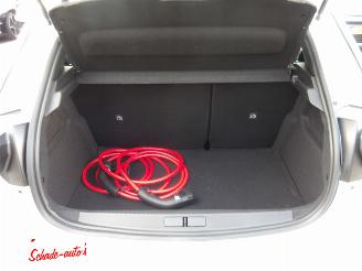 Opel Corsa Electric Long Range Business Edition  51kwh picture 7