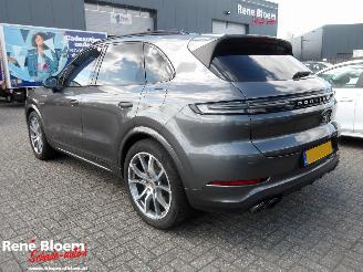 Porsche Cayenne E-HYBRID 3.0 picture 2