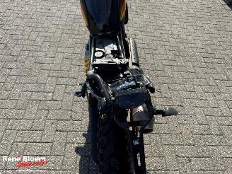 Ducati  Scrambler Desert Sled picture 14
