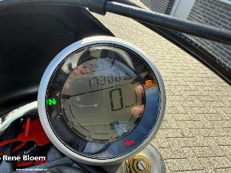 Ducati  Scrambler Desert Sled picture 9