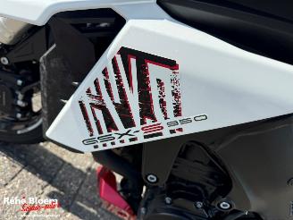 Suzuki  GSX S-950 picture 14