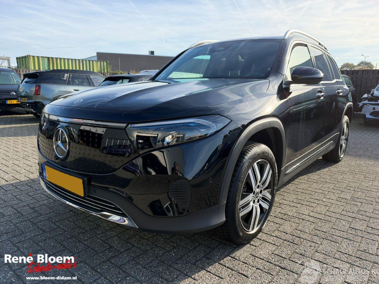 Mercedes EQB 250+ Luxury Line 71kWh 7-persoons