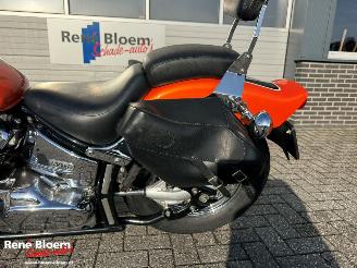 Yamaha XVS 650 Dragstar picture 11