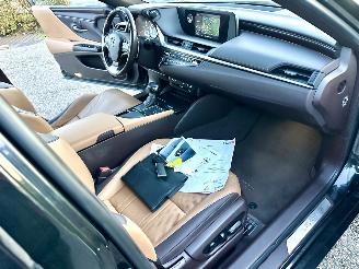 Lexus ES 300H Hybrid 243pk aut + f1 Luxury Line - schuifdak - nap - front + line + side assist - stoelverw + koeling picture 18