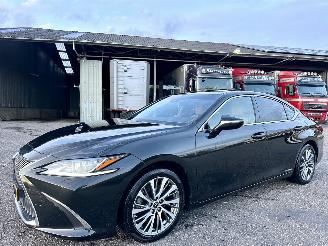 Lexus ES 300H Hybrid 243pk aut + f1 Luxury Line - schuifdak - nap - front + line + side assist - stoelverw + koeling picture 2