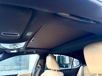 Lexus ES 300H Hybrid 243pk aut + f1 Luxury Line - schuifdak - nap - front + line + side assist - stoelverw + koeling picture 72