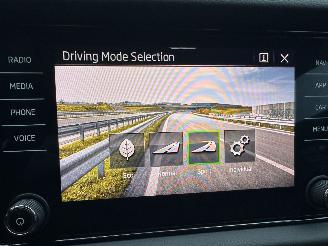 Skoda Kodiaq 1.5 TSI 150pk 7-traps aut Sportline Bus - nap - nardo grey - keyless - virtual - sfeerverl - nav - cam - memory picture 39